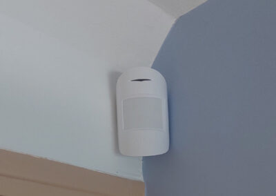 detecteur mouvement ajax sans fil 12m immunite animaux